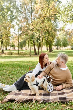 Bir adam ve bir kadın köpekleriyle parkta battaniyeye oturur..