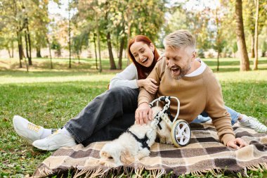 Sıradan giyinmiş bir çift, huzurlu bir park ortamında köpekleriyle battaniyeye oturur..