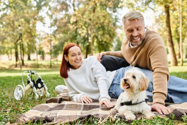 Parktaki battaniyenin üzerinde rahatlayan bir çift. Köpekleri yanlarında..