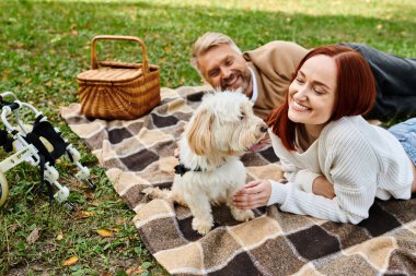 Gündelik giysiler içinde bir adam ve bir kadın köpekleriyle birlikte huzurlu bir park ortamında battaniyeye uzandılar..