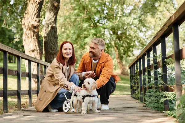 Sevgi Dolu Bir Çift Iki Köpeğiyle Köprüde Oturur Parkta Huzurlu — Stok fotoğraf