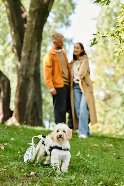 stock image Adult couple in casual attire standing alongside a dog in a park.