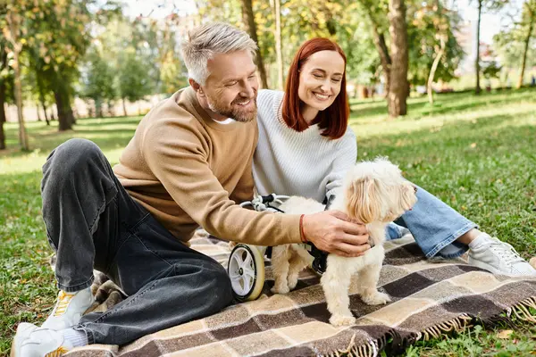 Gündelik giysiler içinde bir adam ve kadın köpekleriyle parkta battaniyeye otururlar..