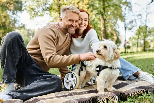 公园里 男人和女人在舒适的毛毯上与宠物狗共度美好时光 — 图库照片