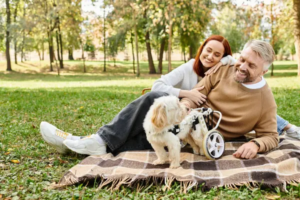 男女が平和な屋外環境で犬と毛布でリラックス — ストック写真