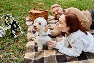 Bir adam ve bir kadın, köpekleriyle birlikte huzurlu bir park ortamında battaniyeye uzanıyorlar..