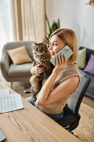 머리를 여자는 책상에 그녀의 무릎에 라운지 귀여운 고양이와 전화에 말하기 — 스톡 사진