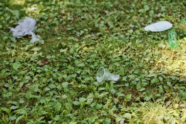 Canlı yeşil çimenlerin üzerinde oturan iki plastik bardak..