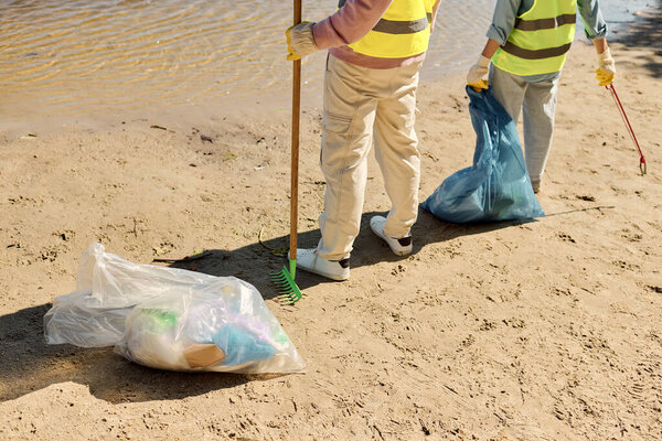 Межрасовая трудолюбивая пара страстно очищает парк в перчатках безопасности.