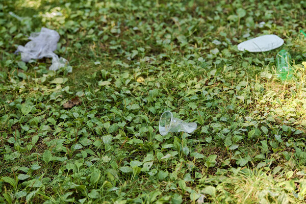 Two plastic cups sitting on vibrant green grass.