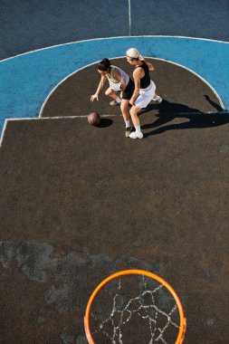 Spor giyimli iki genç kadın güneşli bir sahada tutkuyla basketbol oynuyorlar..