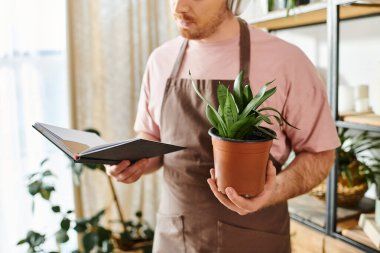 Cömert önlüklü bir adam gelişmekte olan bitki dükkanındaki saksı bitkisine bakar. Küçük bir işletme sahibinin özünü somutlaştırır..