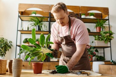 A man in an apron and gloves caring for a plant attentively. clipart