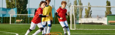Bir grup genç adam zaferle bir futbol sahasının tepesinde duruyor, galibiyet maçından sonra güneşin batışının altın parıltısında güneşleniyorlar. Takım çalışmalarını ve başarılarını kutlarken sahaya gururla ve arkadaşlıkla bakarlar..