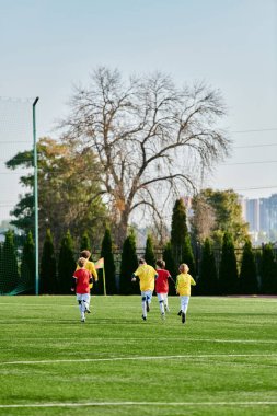Canlı bir sahne, bir grup gencin ateşli bir futbol maçına girişini gözler önüne seriyor. Parlak güneşin altında çimenli bir alanda oynarken topa vuruyorlar, koşuyorlar ve strateji kuruyorlar..
