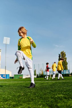 A young boy is passionately kicking a soccer ball on a green field. His focused expression and skilled movements show his dedication and love for the sport. clipart