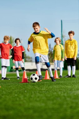Bir grup enerjik genç adam bir futbol sahasının tepesinde zafer kazanarak takım çalışması ve dostluk sergiliyorlar. Onlar zaferlerini kutlarken, batan güneş kararlı yüzlerinde sıcak bir parıltı saçar..