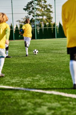 Neşeli bir grup genç çocuk güneşli bir sahada heyecanlı bir futbol maçına katılıyor, tutkularını, takım çalışmalarını ve becerilerini sergiliyorlar, koşarken, tekme atarken ve gol atarken..