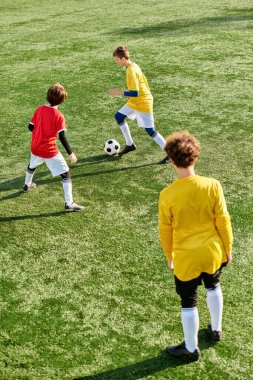 Bir grup genç adam çimenli bir sahada hevesle futbol oynuyor. Koşarken ve gol atmak için strateji kurarken topa vuruyor, pas veriyor ve top sürüyorlar..
