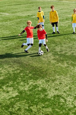 Bir grup genç çocuk çimenli bir alanda enerjik bir şekilde futbol oynuyor. Koşuyorlar, top sürüyorlar, pas veriyorlar ve şevkle topa vuruyorlar..