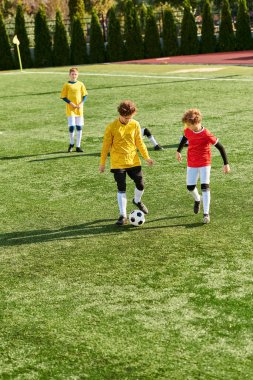 Bir grup enerjik genç çocuk neşeli bir futbol maçına katılıyor, neşe ve coşkuyla güneşli bir sahada topu ileri geri atıyorlar..
