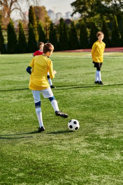 Bir grup genç çocuk yeşil bir sahada tutkuyla futbol oynuyor. Koşuyorlar, topa vuruyorlar ve yarışırlarken sevinçle bağırıyorlar..