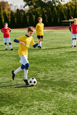 Bir grup genç çocuk enerjik bir şekilde bir futbol maçına katıldılar, çim tarlasında koşuyorlar, topa vuruyorlar, pas veriyorlar ve birbirlerine tezahürat yapıyorlar..