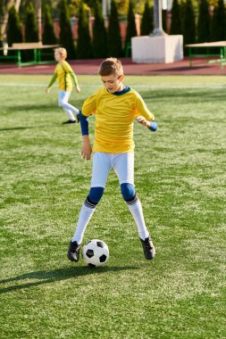 A young man energetically kicks a soccer ball on a vast green field, showcasing his skills and passion for the sport. clipart