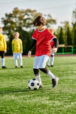 A young boy is kicking a soccer ball on a green field, showcasing his skills and passion for the sport. The boy is focused on the ball as he kicks it, displaying agility and enthusiasm in his movements. clipart