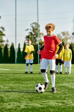 Gençlerden oluşan coşkulu bir grup zaferi bir futbol sahasında kutluyor, kollarını zaferle kaldırmış bir takım olarak birlikte duruyorlar..