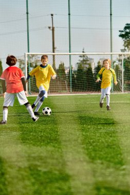Bir grup canlı genç çocuk çimenli bir alanda heyecanlı bir futbol oyunu oynuyor. Koşuyorlar, tekmeliyorlar ve pas veriyorlar, arkadaşça yarışmalarında coşku ve takım çalışması gösteriyorlar..