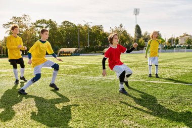 Canlı bir grup genç futbol oynuyor, koşuyor, tekmeliyor ve topu coşku ve hünerle atıyor..