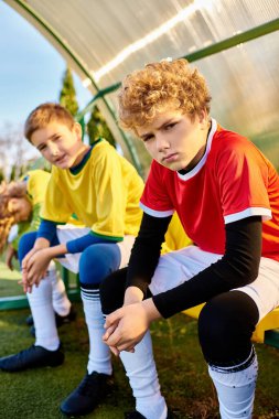 A diverse group of young men sitting closely together, engaged in deep conversation and laughter. Each individual exudes a sense of camaraderie and connection as they share stories and bond with one another. clipart