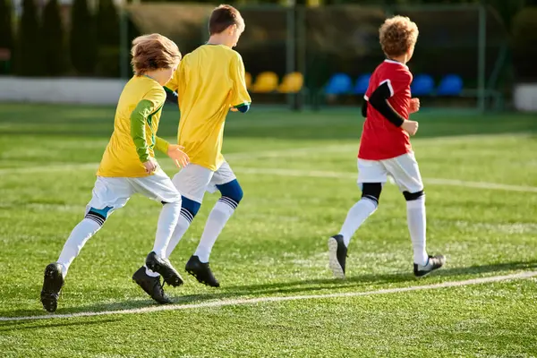 若い男性のグループがサッカーのスピリットゲームに参加し フィールド上の敏捷性 チームワーク 競争力のある精神を披露するダイナミックなシーンが展開されます — ストック写真