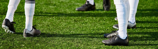 Группа людей, объединенных радостью, стоит на пышном зеленом поле в окружении живой флоры. Сцена изливает покой и единение, под ясным синим небом.