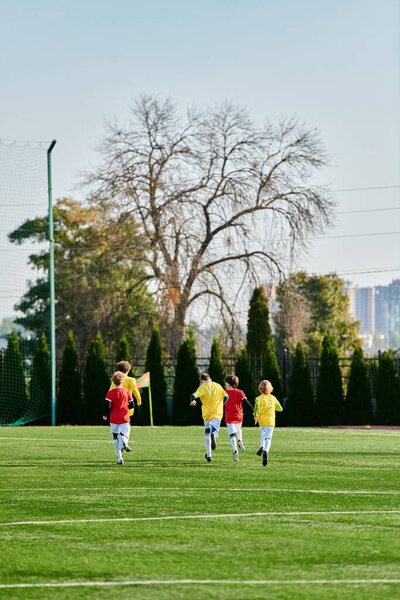 Живая сцена разворачивается в то время, как группа молодых мальчиков участвуют в энергичной игре в футбол. Они бьют по мячу, бегут и разрабатывают стратегию, играя на травянистом поле под ярким солнцем..