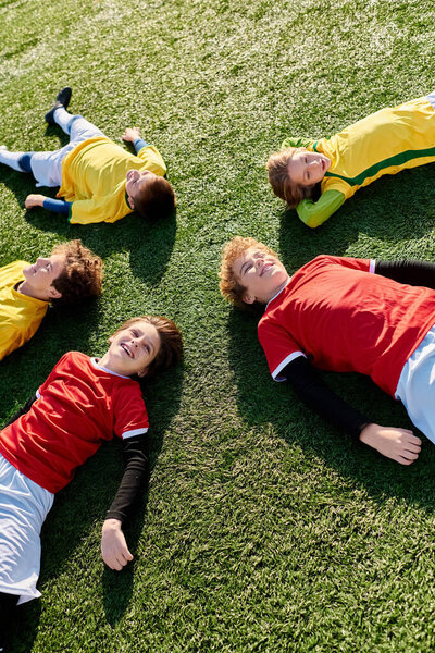 Разнообразная группа людей, лежащих на пышном зеленом поле, купающихся в солнечном свете и наслаждающихся спокойствием природы.