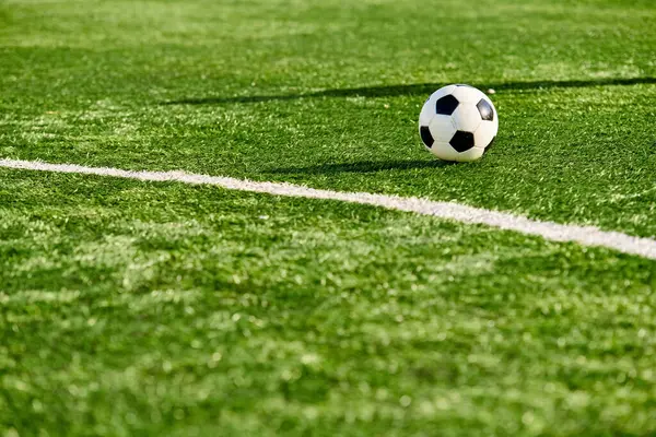 ローンサッカーボールが活気に満ちた緑のフィールドの上に座り 暖かい日光を浴び 次の爽快な試合を待っています — ストック写真