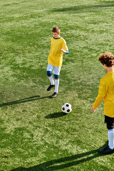 Two energetic young men enthusiastically kick a soccer ball back and forth on a vast green field, their swift movements and skillful footwork showcasing their passion for the sport.