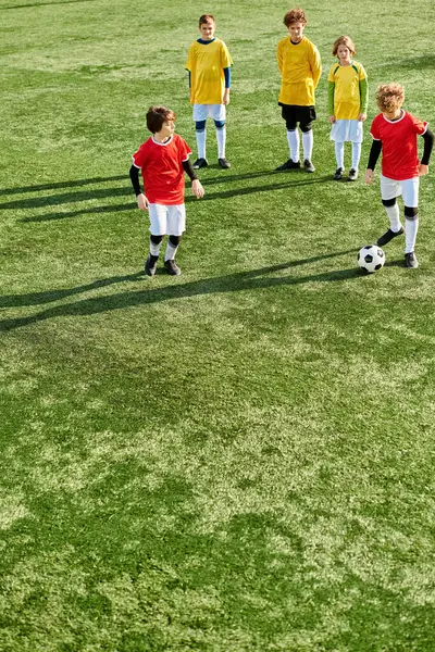 Bir grup enerjik genç çocuk bir futbol sahasının tepesinde muzaffer bir şekilde durup maçtan sonra neşe ve dostluk saçıyorlar. Etrafları yemyeşil çimenler ve kale direkleriyle çevrili, zaferlerini sergiliyorlar..