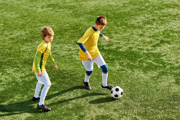Two energetic young boys are enthusiastically playing soccer on a spacious field, kicking the ball towards each other and showcasing their skills in a friendly match.