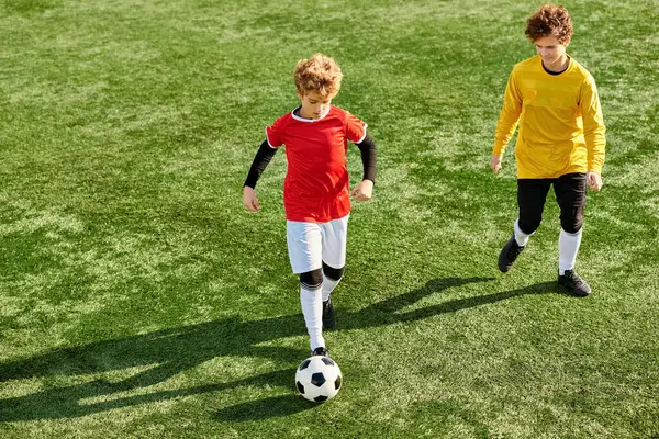 İki genç adam hareketli bir futbol maçına katıldı, koşuyor, tekmeliyor ve çimenli bir alanda beceri ve tutkuyla pas veriyorlar..