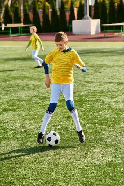 stock image A young man energetically kicks a soccer ball on a vast green field, showcasing his skills and passion for the sport.