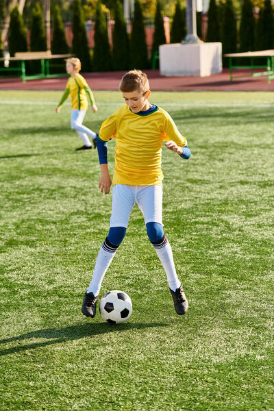 A young man energetically kicks a soccer ball on a vast green field, showcasing his skills and passion for the sport.