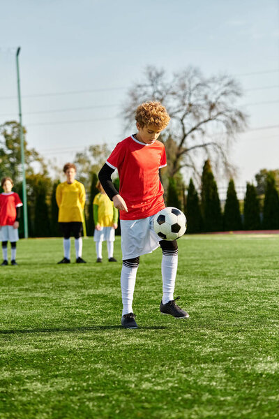 Динамичная группа молодых людей в спортивной одежде торжествует на ухоженном футбольном поле, празднуя победный матч под оранжевым сиянием заходящего солнца.