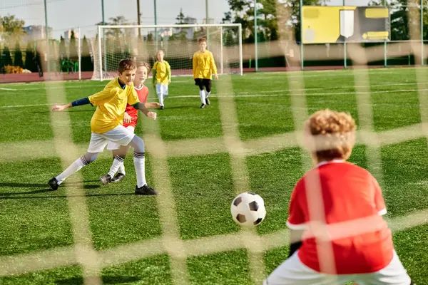 Canlı bir grup genç, çimenli bir sahada enerjik bir şekilde futbol oynuyor. Arkadaşça bir maçta birbirlerine karşı koşuyor, tekmeliyor ve tezahürat yapıyorlar..