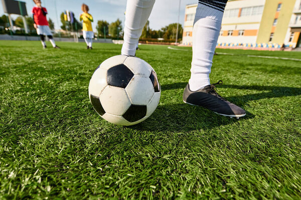 A lone figure stands triumphantly on the highest point of a soccer field, overlooking the vast expanse beneath, exuding a sense of achievement and victory.