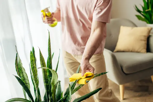 stock image A man in cozy homewear cleans a potted plant.