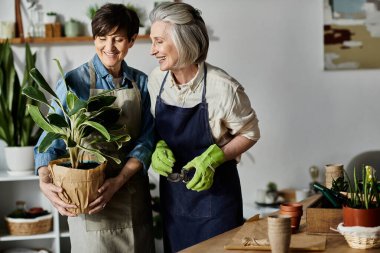 Mature lesbian couple in aprons tend to a potted plant. clipart