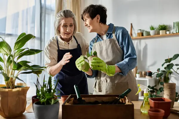 stock image Two women, a loving mature lesbian couple, work harmoniously in a garden.